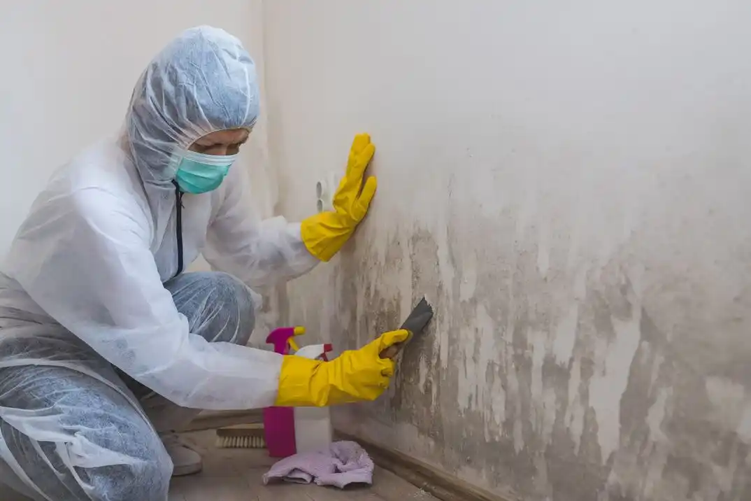 water damage restoration service Tipton